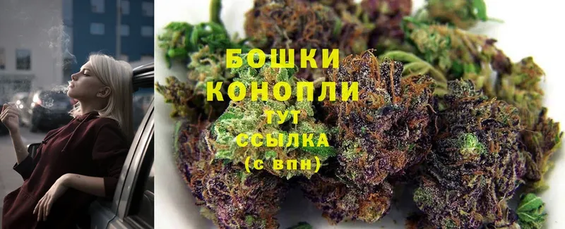 купить наркоту  Вязники  Марихуана White Widow 